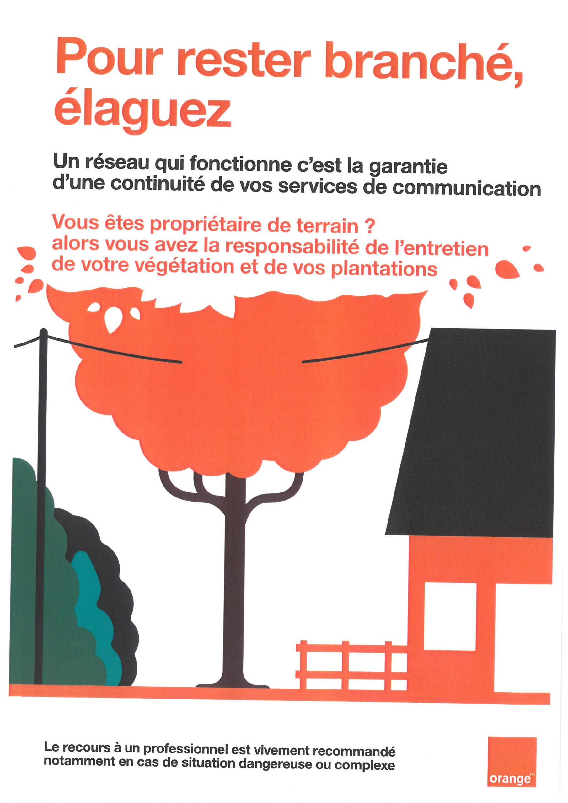 Lire la suite à propos de l’article Elagage des végétaux en bordure de propriété